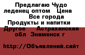 Предлагаю Чудо леденец оптом › Цена ­ 200 - Все города Продукты и напитки » Другое   . Астраханская обл.,Знаменск г.